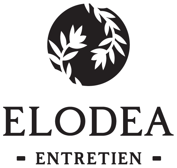 ELODEA - Entretien -