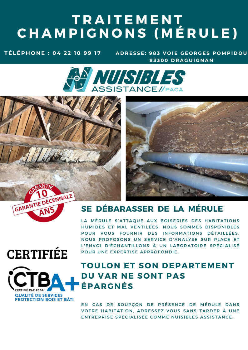 Nuisibles Assistance Var (83) | Draguignan