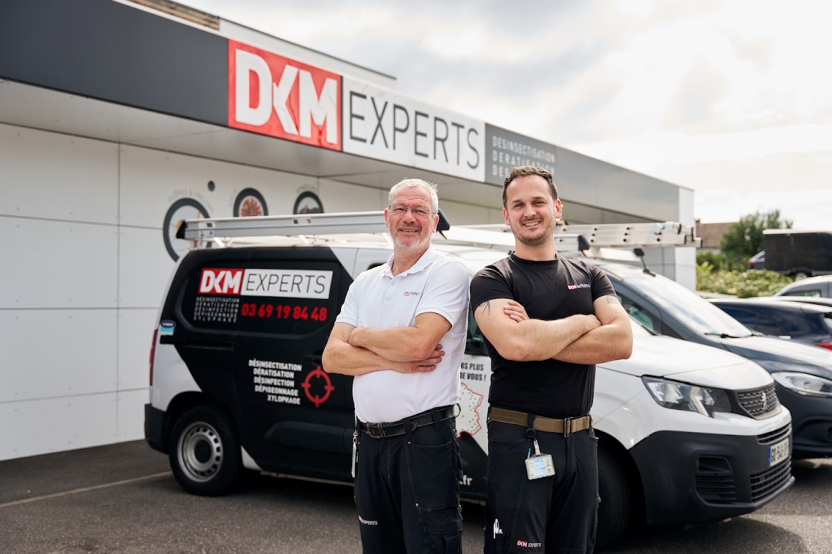 DKM Experts — désinsectisation et dératisation à Lyon