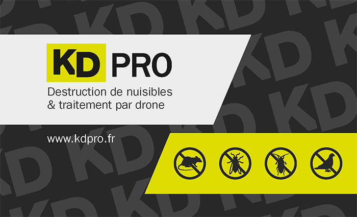 KD Pro
