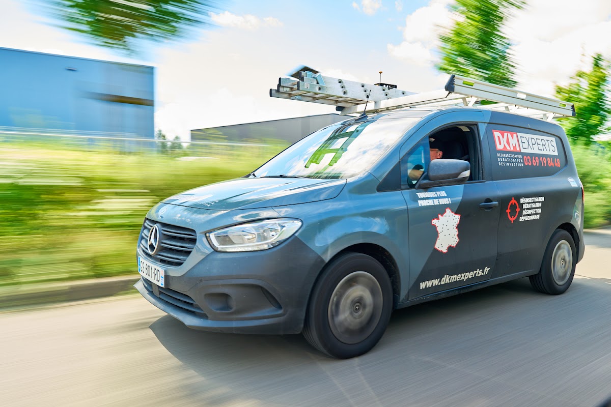 DKM Experts : Dératisation Désinsectisation Désinfection
