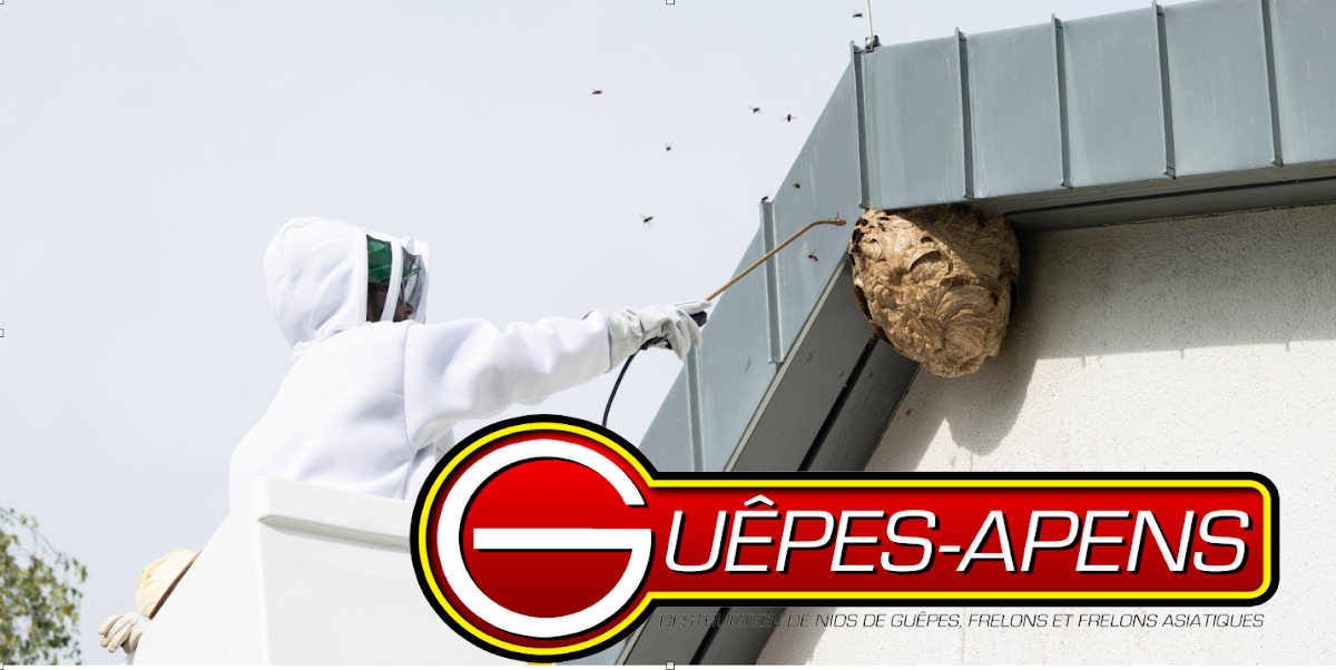 GUÊPES-APENS 81 - Radikal Nuisibles