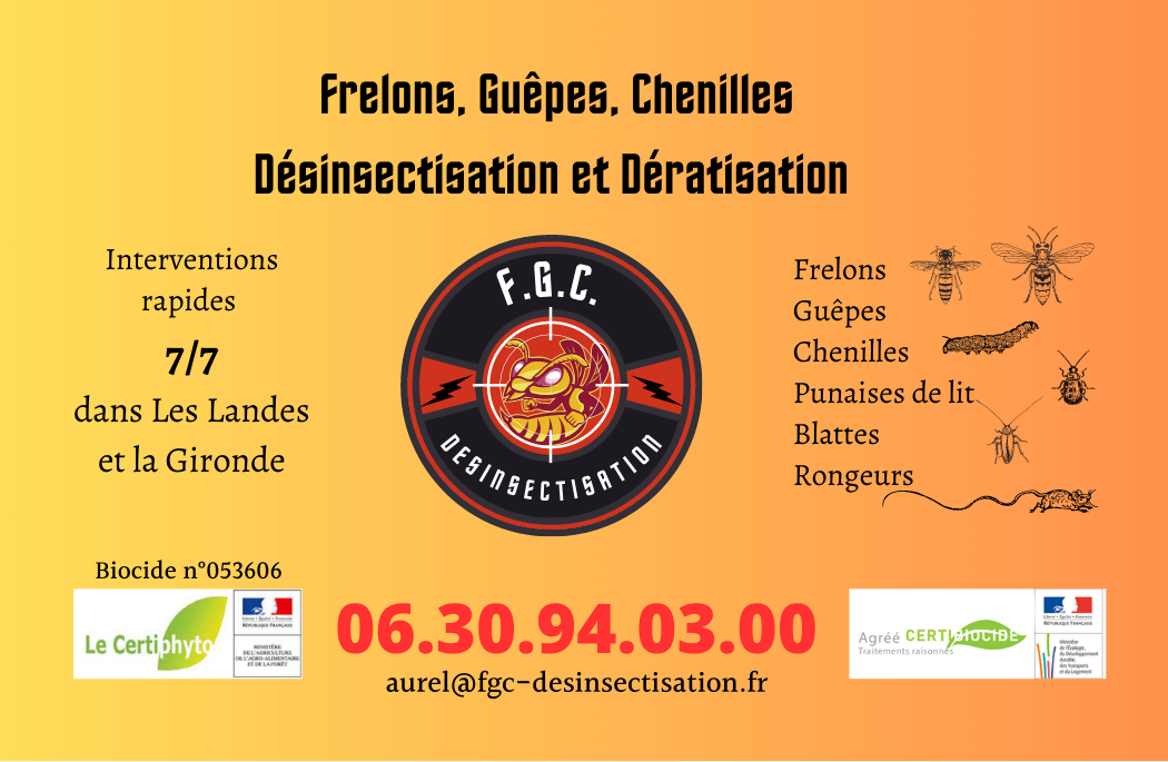 Dératisation La Teste de Buch - nid frelon - nid guêpe - désinsectisation - entreprise cafard - F.G.C Désinsectisation