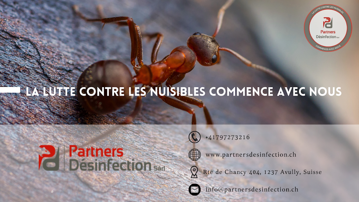 Partners Desinfection | Votre spécialiste en Nuisibles