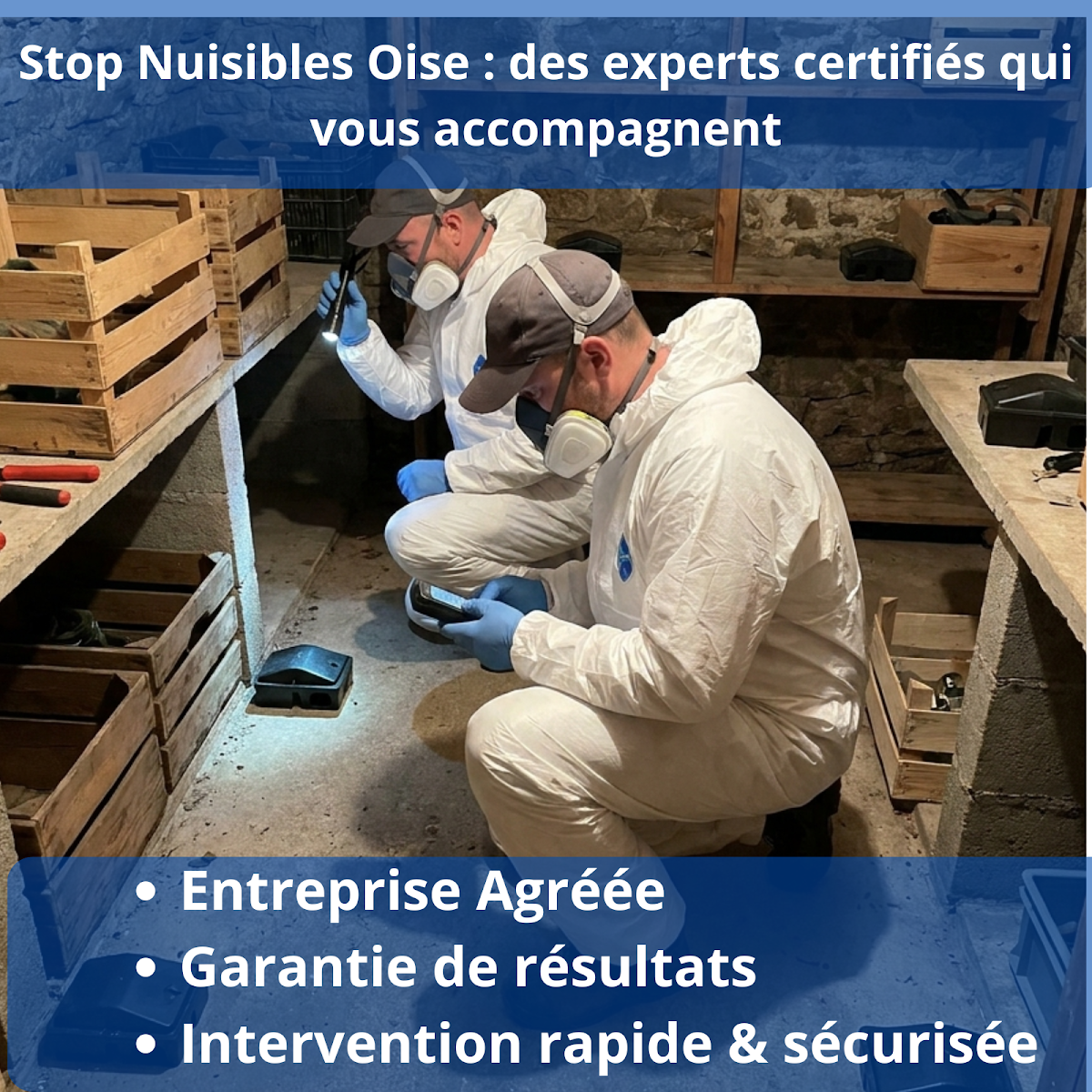 Stop Nuisibles Oise