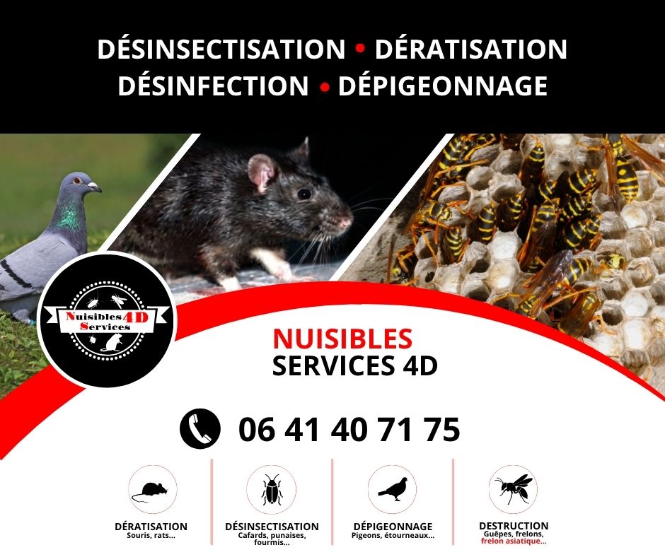 Nuisibles Services 4D Doubs Territoire de Belfort