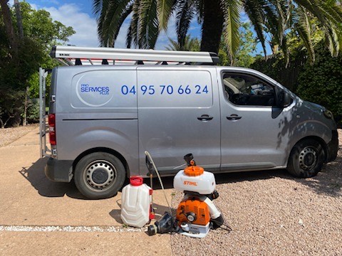 Pro Services Plus SARL