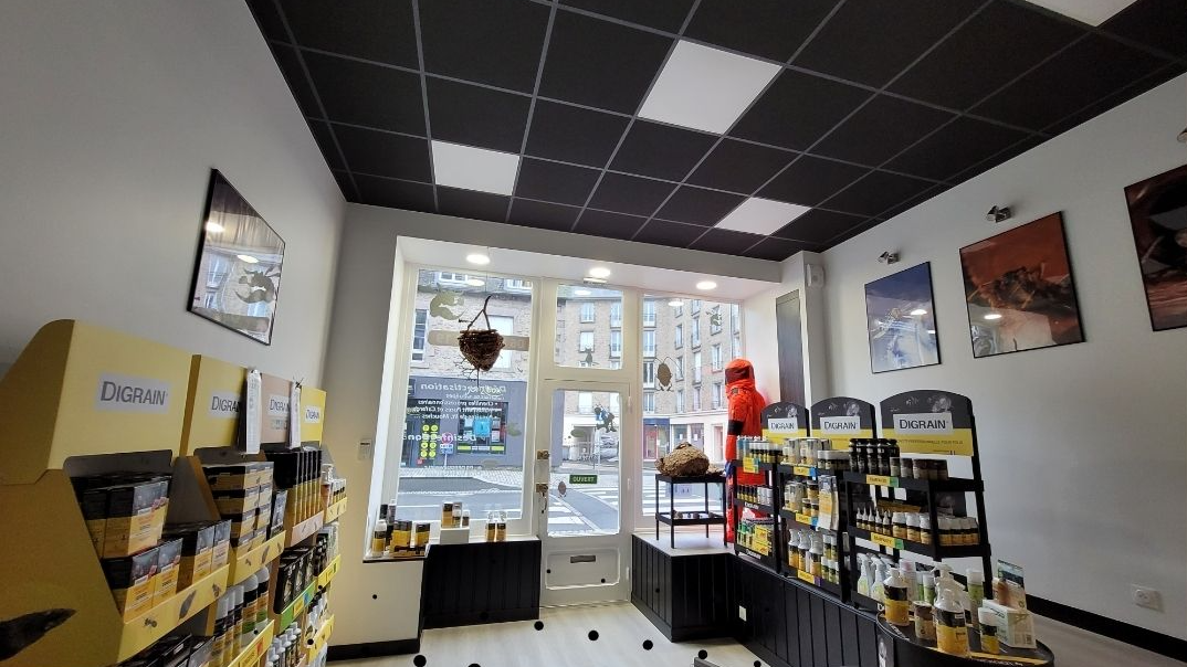 Breizh Nuisibles Services