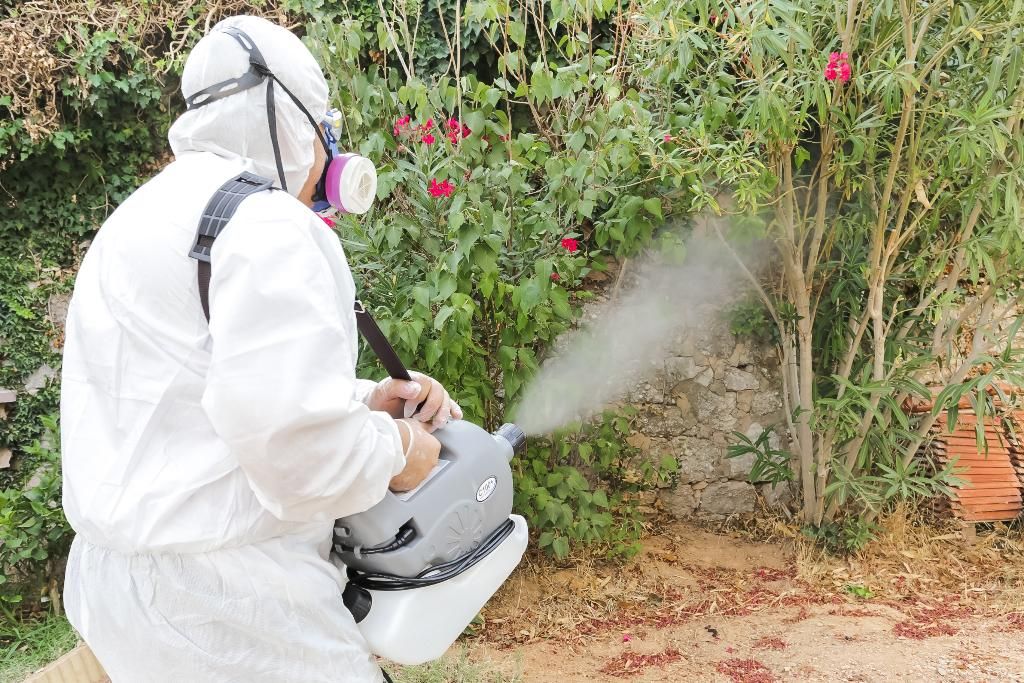 Hygiene Partner - Société antinuisibles à Marseille
