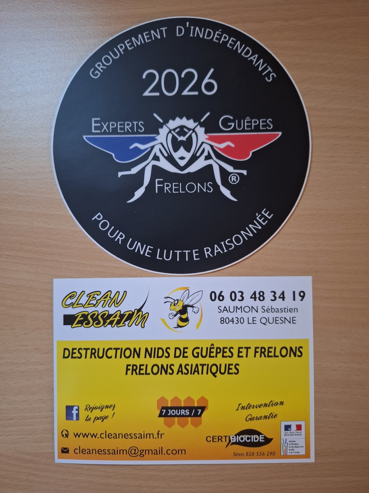Clean Essaim guêpes et frelons