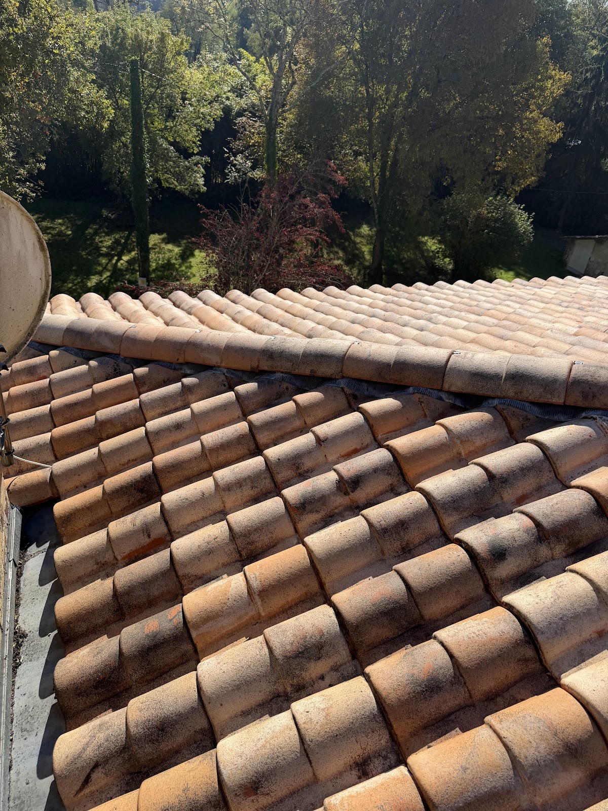 Aquitaine X Termite A Tort - Agence en Gironde