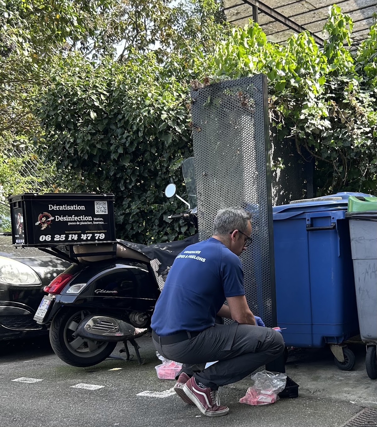 Urgences Guêpes et Frelons