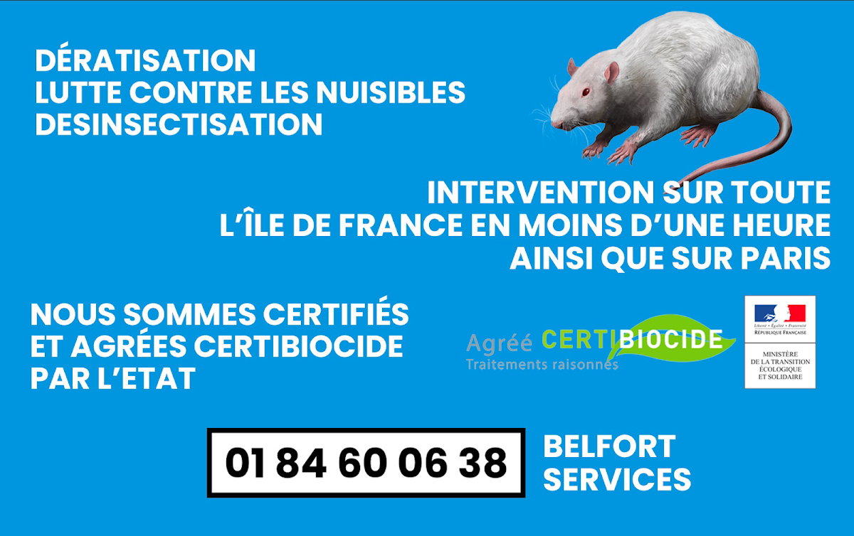 BELFORT SERVICES