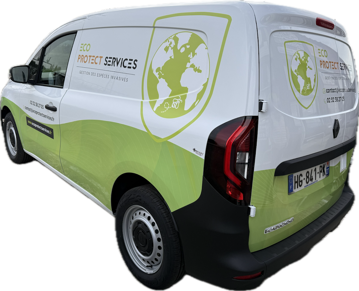 Eco Protect Services
