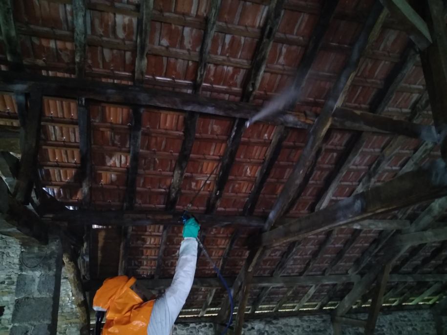 SD TRAITEMENT TERMITES