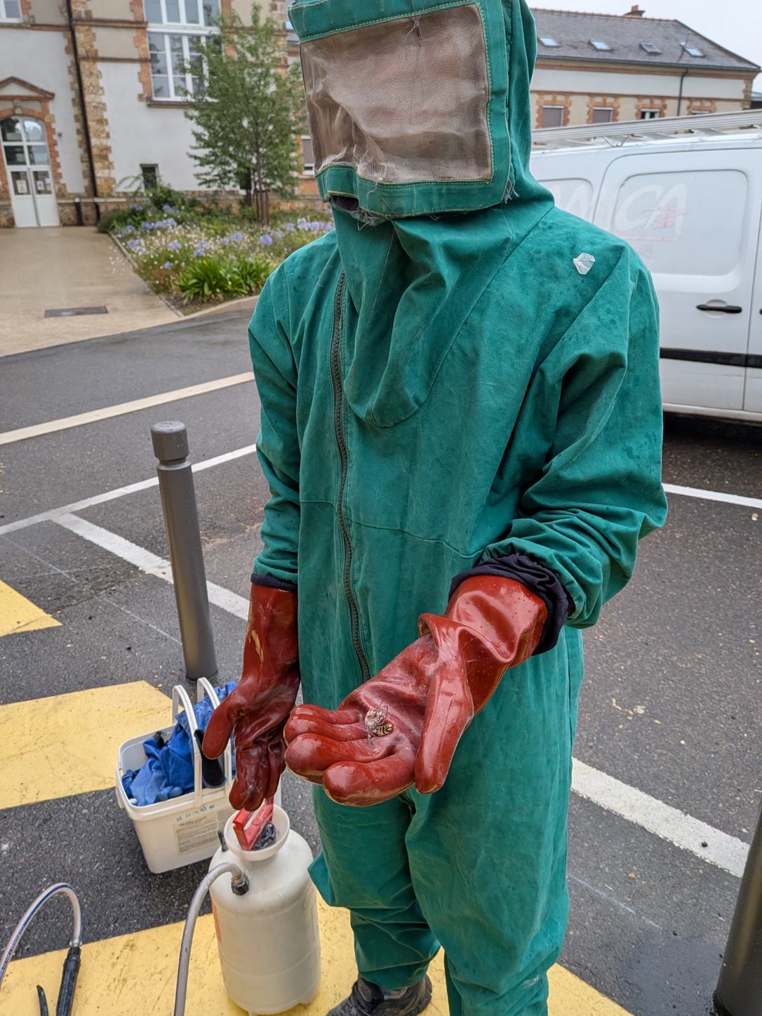 DIENE HYGIENE