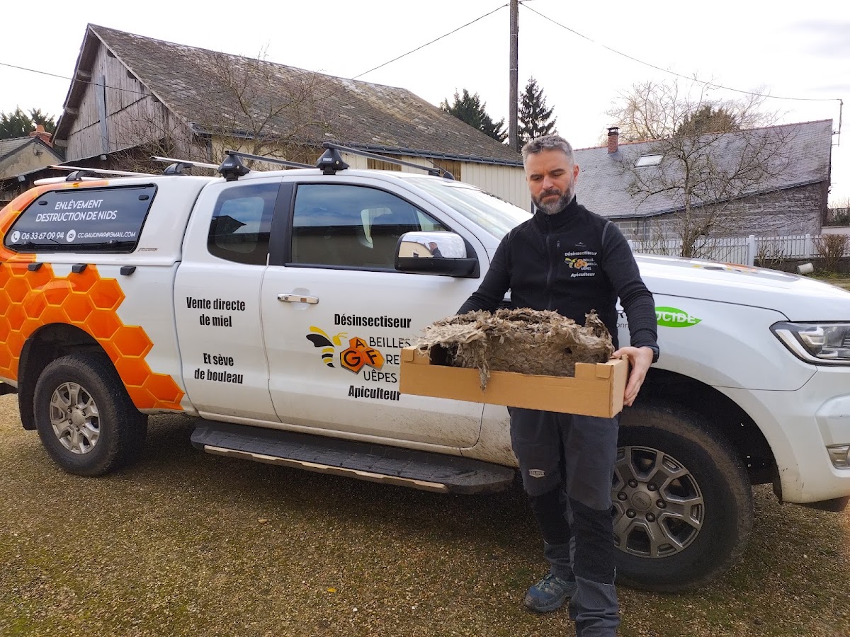 A.F.G. Abeilles Frelons Guêpes Nuisible Désinsectiseur et Apiculteur en Maine et Loire et Sarthe