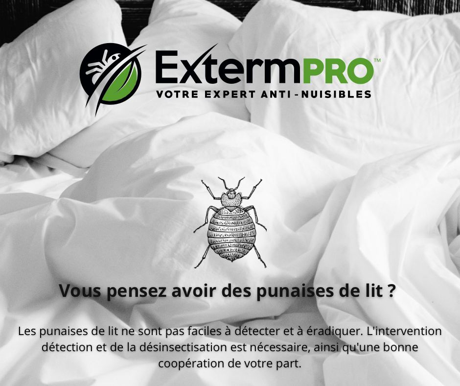 ExtermPRO