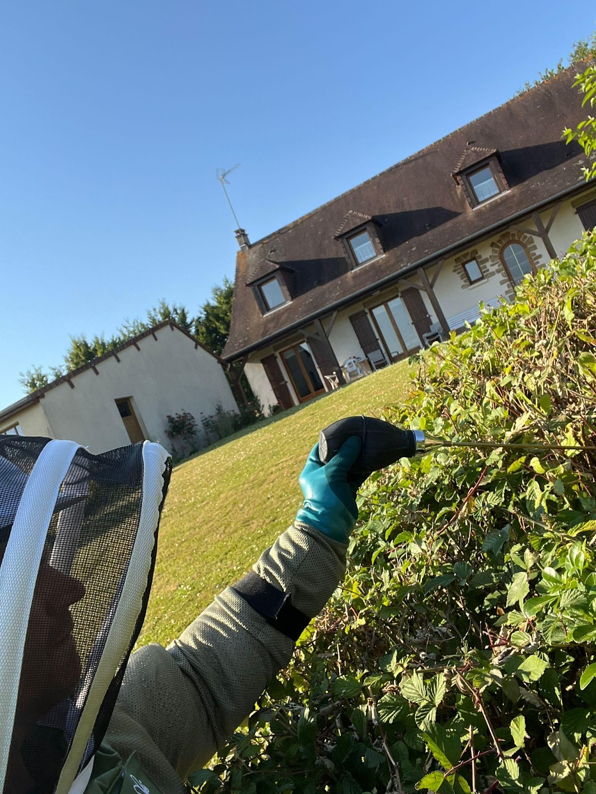 IziProtec " Votre expert professionnel en lutte antiparasitaire " Dératisation-Désinsectisation-Désinfection