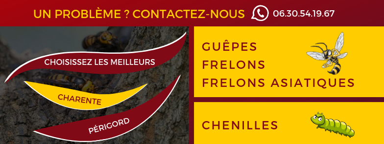 Charente Périgord Guêpes Frelons