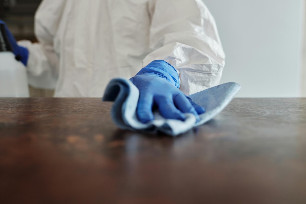PestControl3D (95) - Expert Anti-Nuisibles Île-de-France