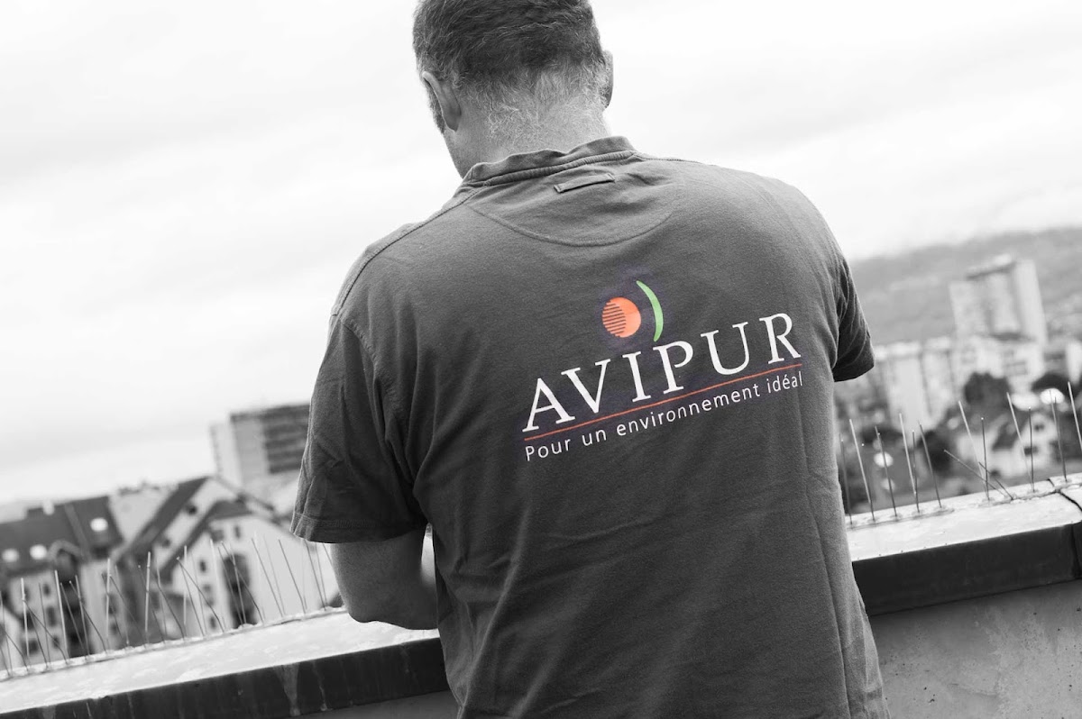AVIPUR