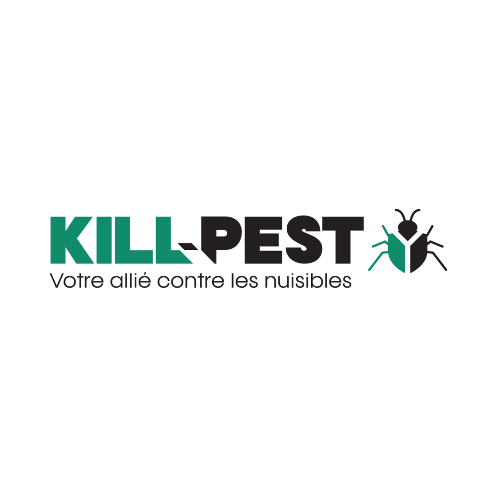 Kill Pest | Intervention rapide nuisibles 92 : punaises, rats, guêpes, frelons