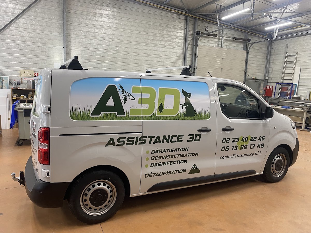 Assistance 3D