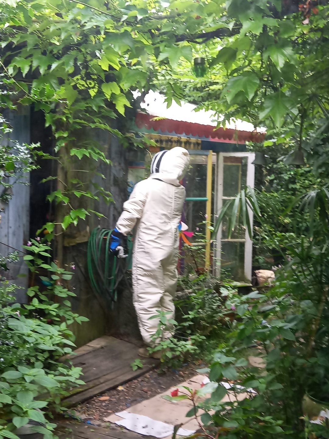 RDGF Désinsectiseur Guêpes et Frelons