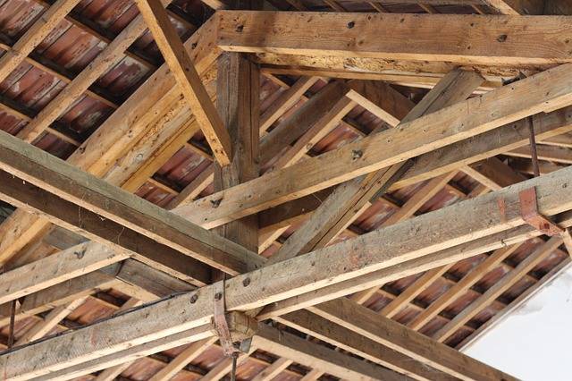 TG2H Traitements Termites et Insectes Nuisibles Gironde