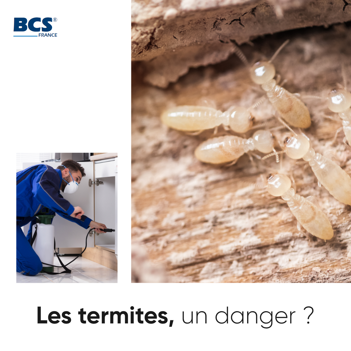 BCS France-Toulouse - Entretien et rénovation de l'habitat