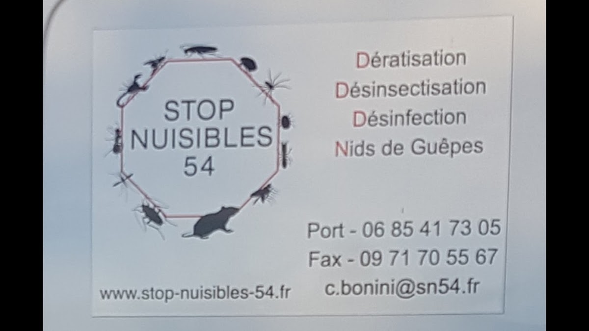 Stop Nuisibles 54 Destruction Nid de Guêpes Nancy