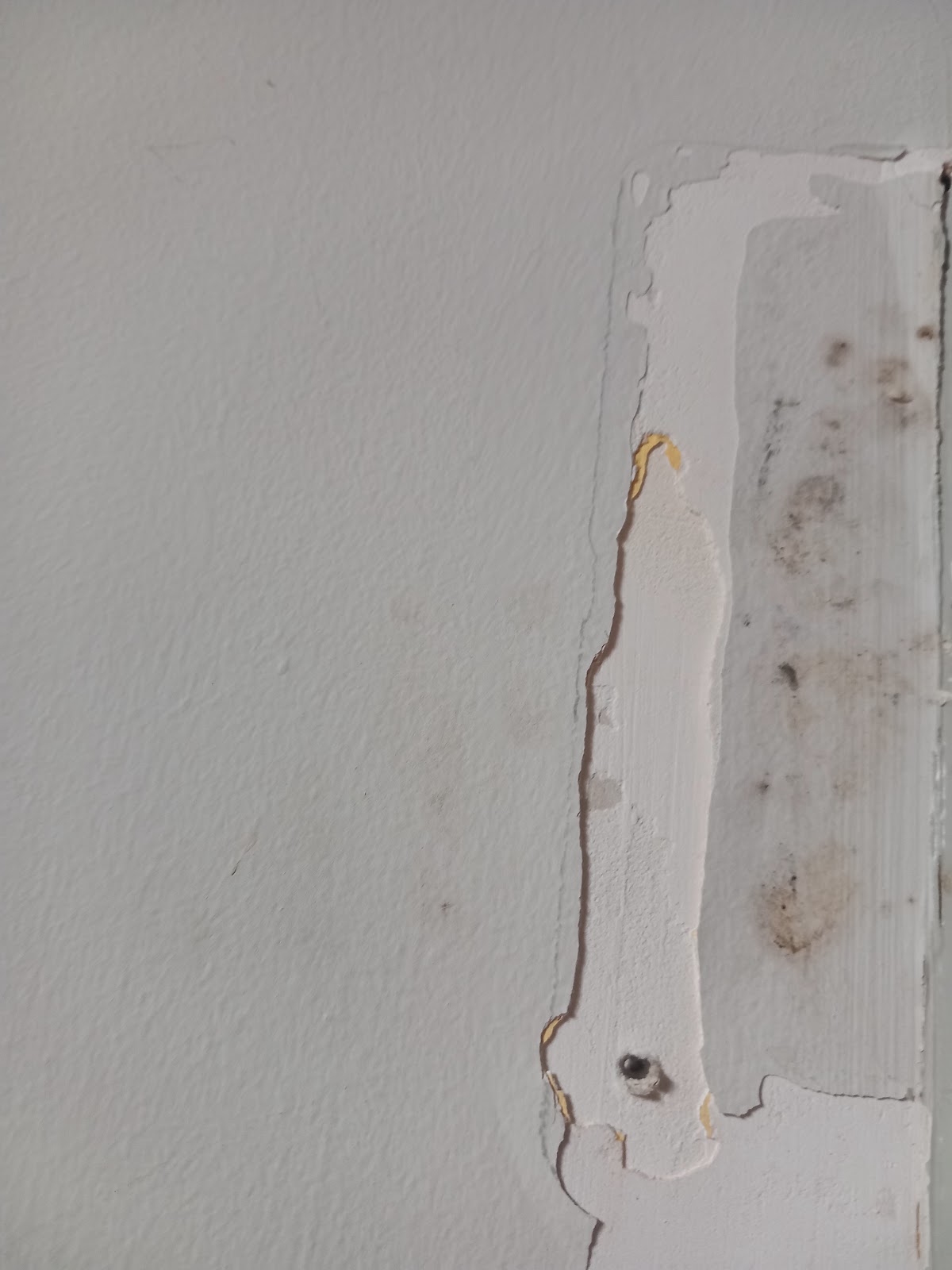 Lamolie Anticimex Bordeaux