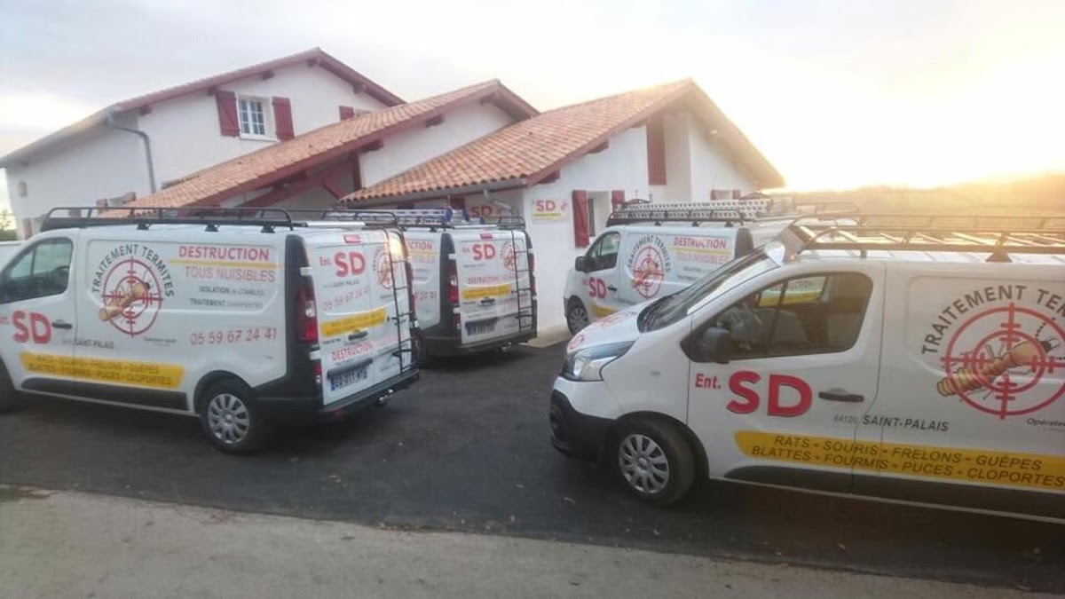 SD Traitement Termites