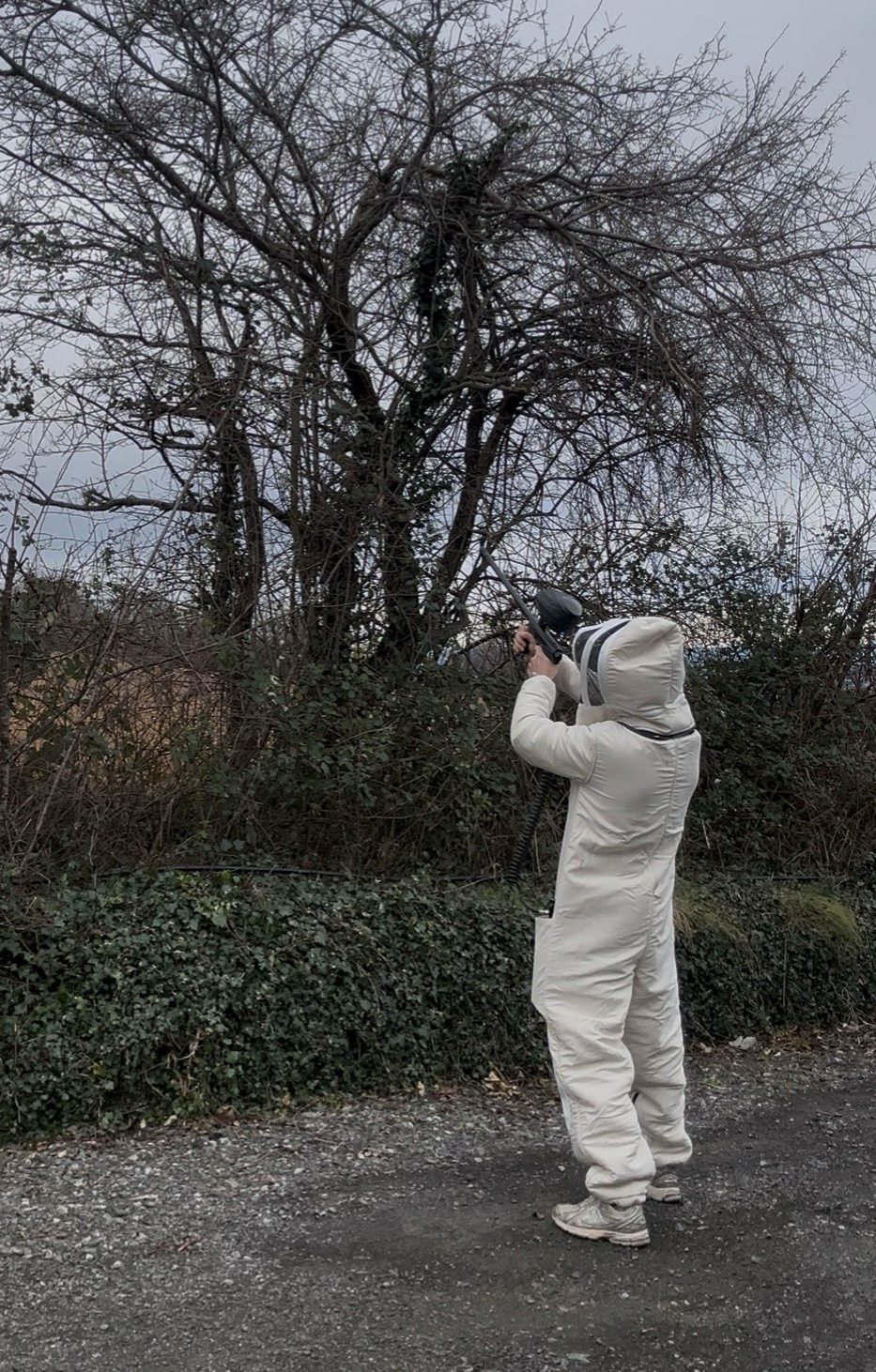 𝗖𝗟𝗘𝗥𝗠𝗢𝗡𝗧 𝗡𝗨𝗜𝗦𝗜𝗕𝗟𝗘𝗦 – EXTERMINATION & DÉRATISATION