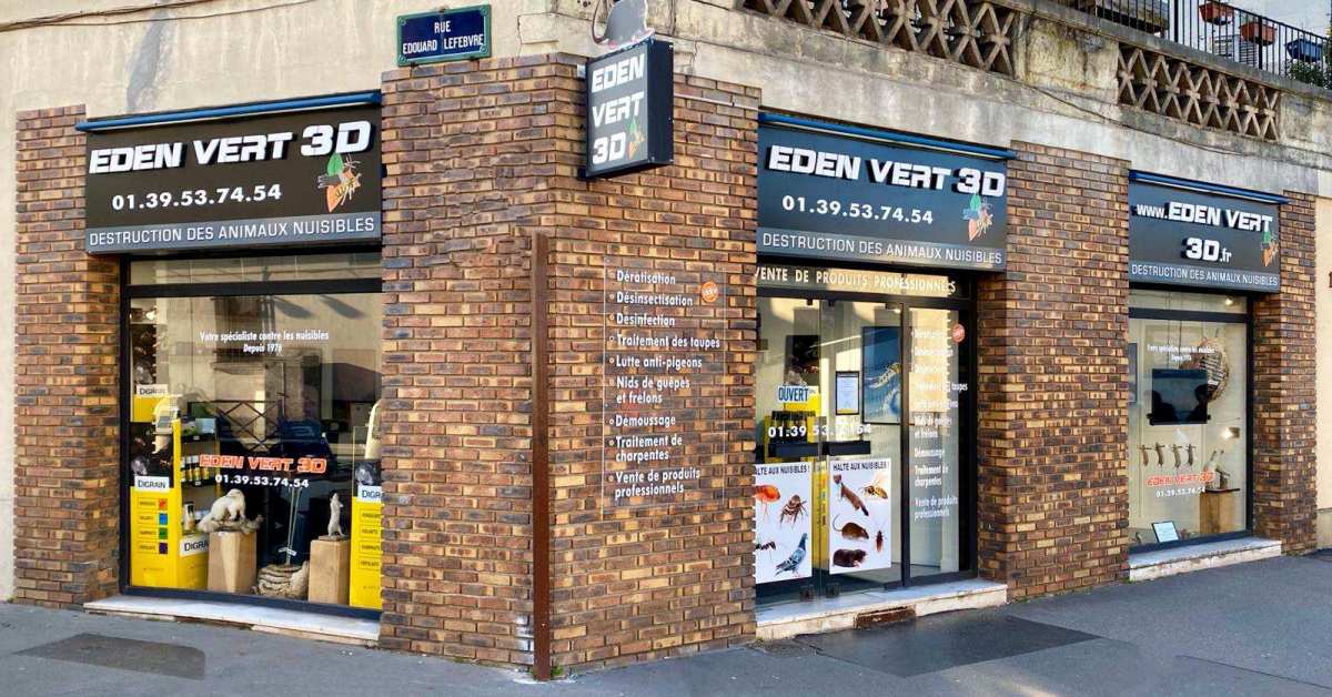 Eden Vert 3D