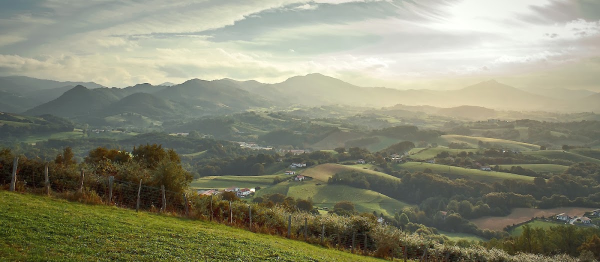 Nuisibles Pays Basque