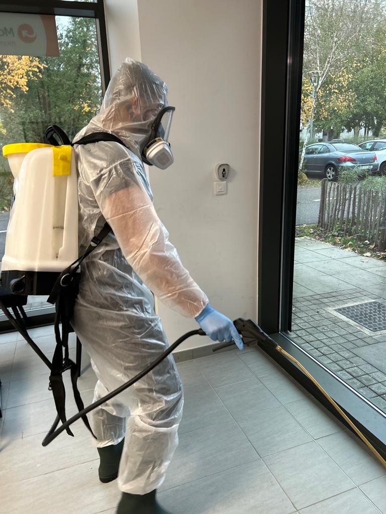 NUISIBL'EST - Traitement de nuisibles à Nancy